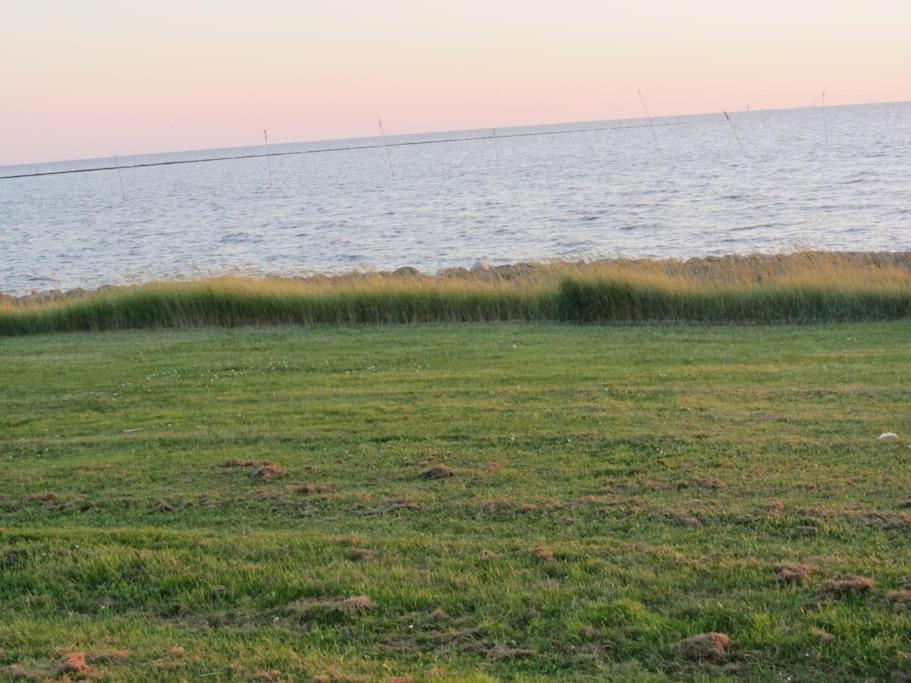 Nordsee Und Natur. Gemuetliche Fewo Mit Deichblick Dorumer Neufeld Luaran gambar